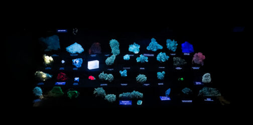 *221110 - Reluctant Model (Tesia)
Photographs I take of Tesia …